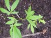 100_0513.jpg