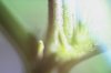 CRW_4087.jpg