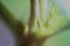 CRW_4085.jpg