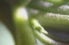 CRW_4083.jpg