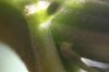 CRW_4082.jpg