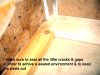IMGP3256.jpg