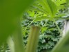 08052011031.jpg