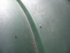 DSCN1635.jpg