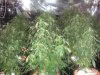 DSC01644.jpg