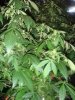 DSC01645.jpg