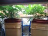 8711_2.jpg 8711_2.jpg