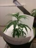 downsized_0807011401a.jpg