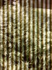 IMAG0173.jpg