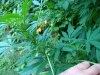 DSC03914.jpg