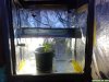 2011-07-19_14_02_10.jpg 2011-07-19_14_02_10.jpg
