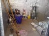 IMG01491-20110809-1859.jpg