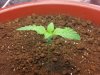 2011-08-10 18.00.51.jpg