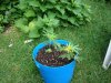DSC03930.jpg