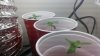 2011-08-10_22-07-49_332.jpg