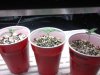 downsized_0811112040.jpg