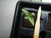 DSCF5941.jpg