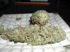 LA Confidential1.jpg