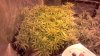 2011-08-13_19-35-16_938.jpg