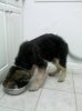 2011-08-03 10.33.46.jpg