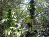20110812132300.jpg