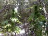 20110812132212.jpg