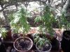 20110802103538.jpg