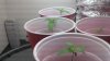 2011-08-10_22-07-55_8.jpg