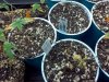 IMG_20110814_143828.jpg
