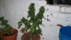 100_1563.jpg