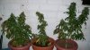 100_1565.jpg