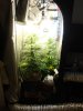 DSC01161.jpg