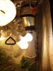 DSC01174.jpg