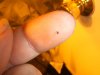 DSCF4885.jpg