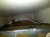 IMG_20110816_160820.jpg