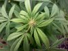 20110818100433.jpg