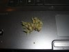 thesepicstoday 032.jpg