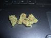 thesepicstoday 060.jpg