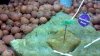 2011-08-19_18-51-18_830 DAY 4.JPG