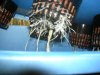 DSCN1657.jpg