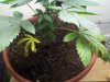 2011-08-20_19-33-38_556.jpg