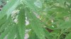 2011-08-21_09-51-51_583.jpg