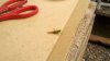 2011-08-21_12-30-23_907.jpg
