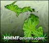 michiganmedicalmarijuana.jpg