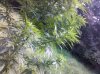 IMG_20110817_165426.jpg