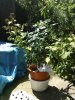 DSC00281.jpg