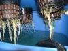 DSCN1682.jpg
