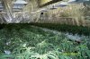 600-plants-lancaster.jpg