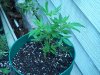 102_1739.jpg