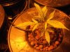 Upper-clipping-3-of-plant-7-04-2010-darkstar.jpg